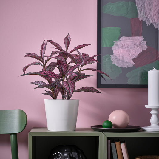 FEJKA artificial potted plant, in/outdoor Persian shield, 15 cm