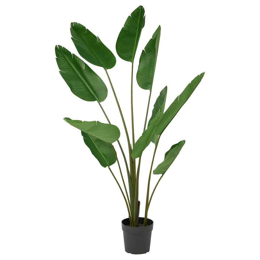 FEJKA artificial potted plant, in/outdoor/Bird of paradise, 23 cm