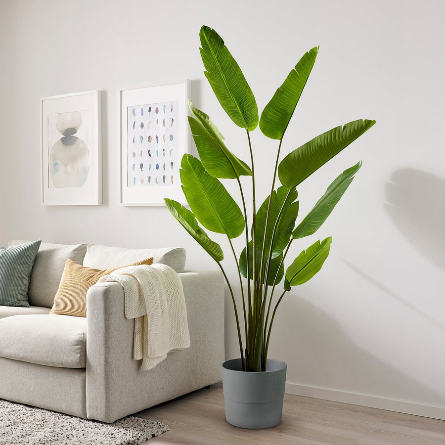 FEJKA artificial potted plant, in/outdoor/Bird of paradise, 23 cm