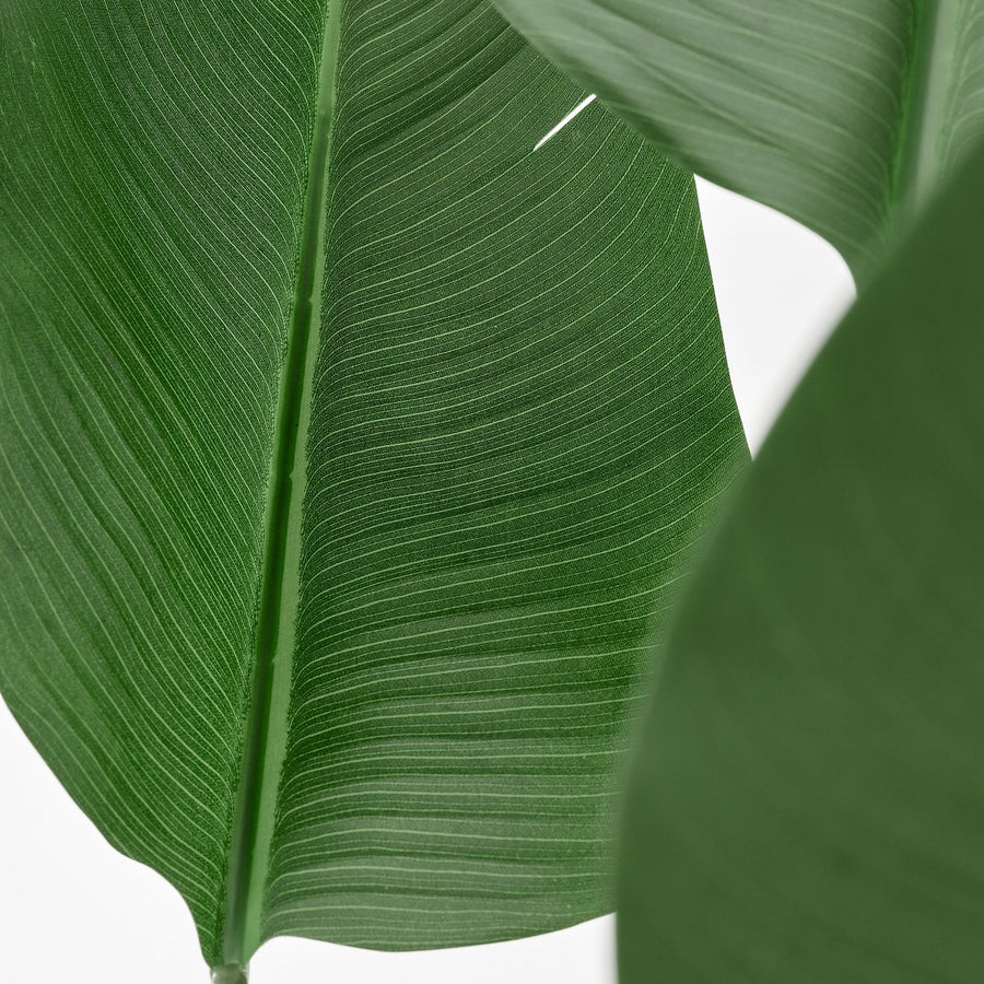 FEJKA artificial potted plant, in/outdoor/Bird of paradise, 23 cm
