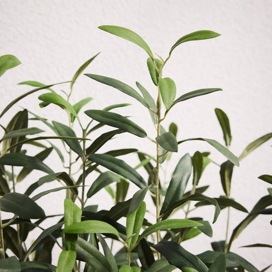 FEJKA artificial potted plant, in/outdoor/Olive tree green, 19 cm