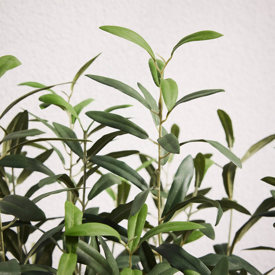 FEJKA artificial potted plant, in/outdoor/Olive tree green, 19 cm