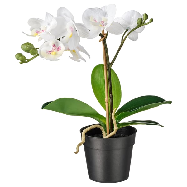 FEJKA artificial potted plant, Orchid white, 9 cm