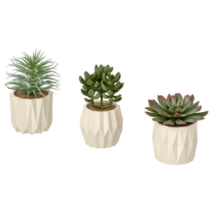 FEJKA artificial potted plant, set of 3, in/outdoor Succulent