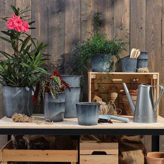 Ikea FJÄRILSBUSKE - Plant pot, in/outdoor/blue, 9 cm
