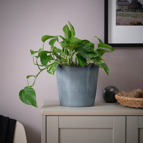Ikea FJÄRILSBUSKE - Plant pot, in/outdoor/blue, 19 cm