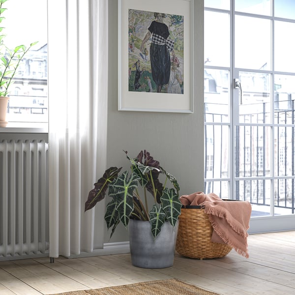 FJÄRILSBUSKE plant pot, in/outdoor/grey, 24 cm