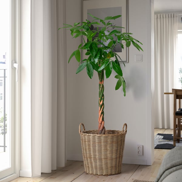 FLODBJÖRK plant pot, in/outdoor light grey-brown, 45 cm