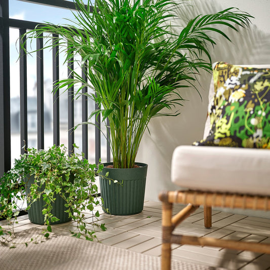 FRÄKENVÄXT plant pot, in/outdoor/deep green, 24 cm