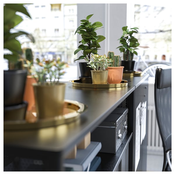 GLATTIS tray, brass-colour, 38 cm