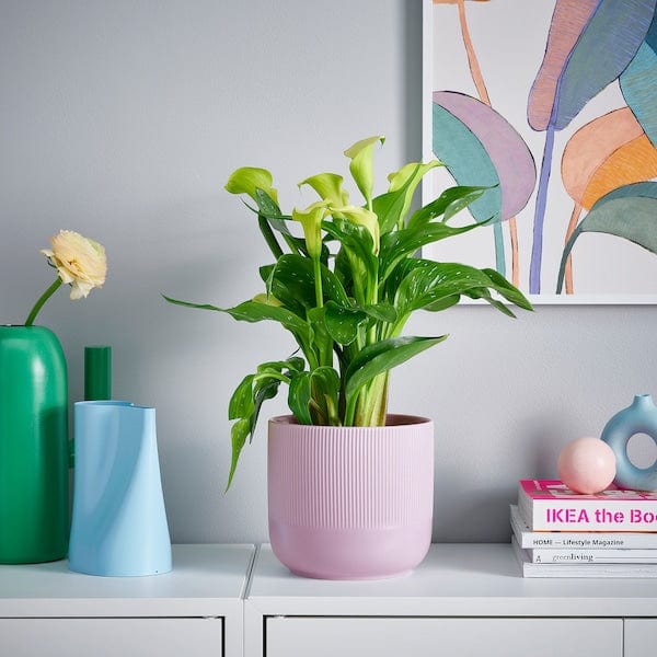 Ikea GRADVIS - Plant pot, in/outdoor lilac, 15 cm