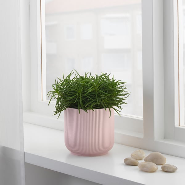 GRADVIS plant pot, pink, 12 cm