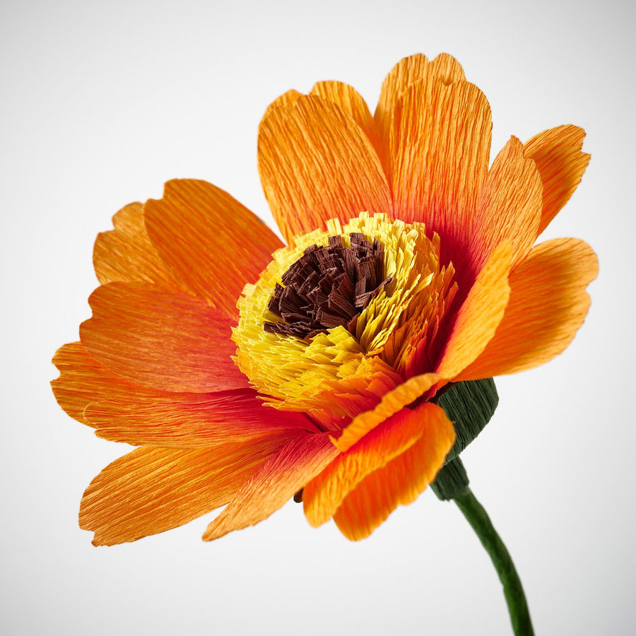 GULDSPETT artificial flower, paper/marigold orange, 50 cm