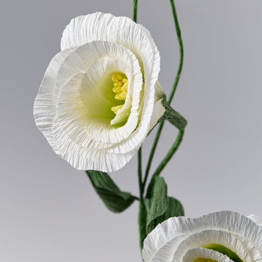 GULDSPETT artificial flower, paper/lisianthus white, 55 cm