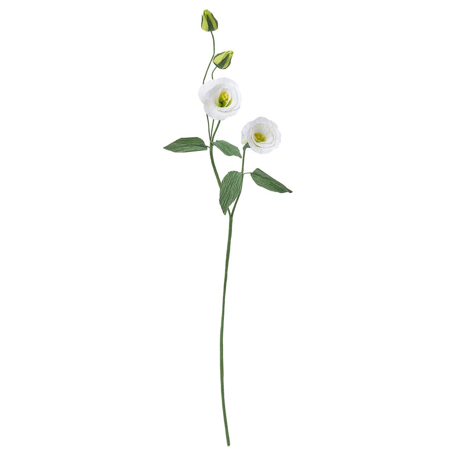 GULDSPETT artificial flower, paper/lisianthus white, 55 cm