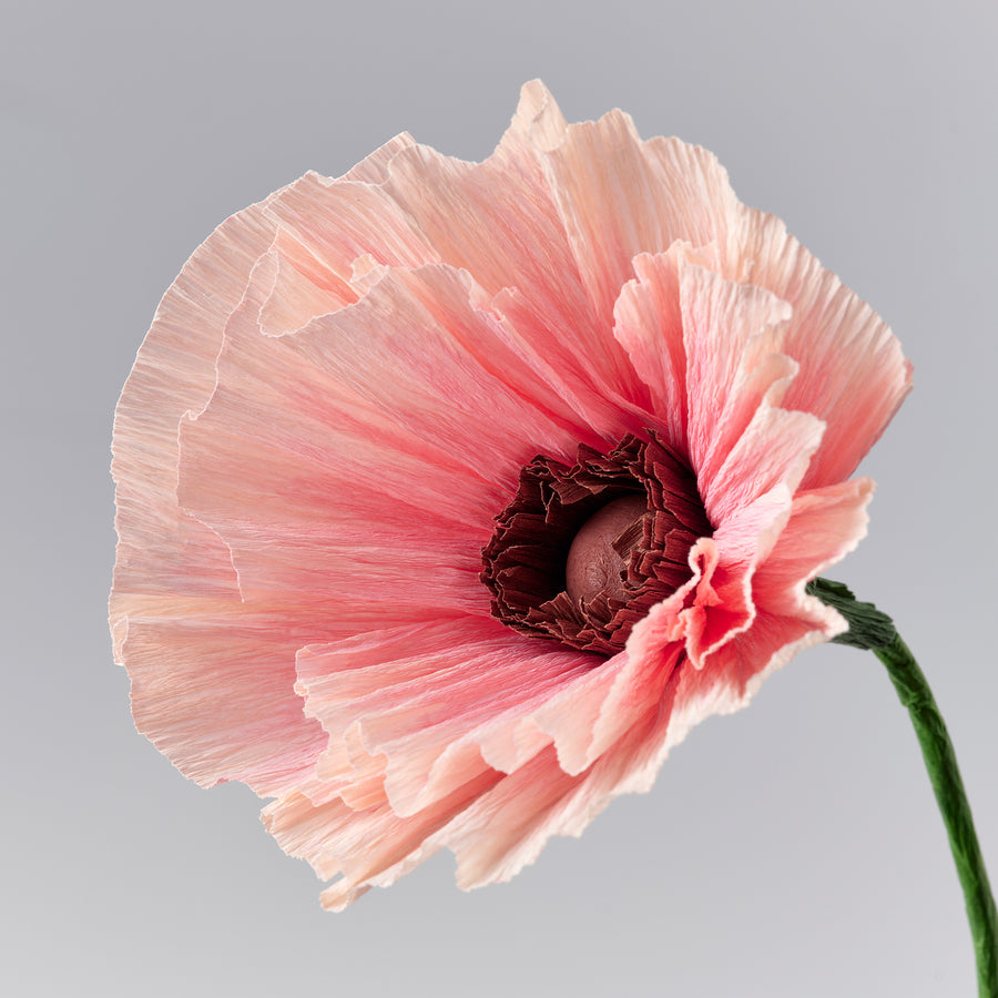 GULDSPETT artificial flower, paper/Poppy pink, 40 cm