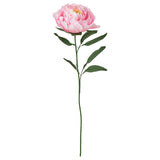 GULDSPETT artificial flower, paper/Peony pink, 50 cm