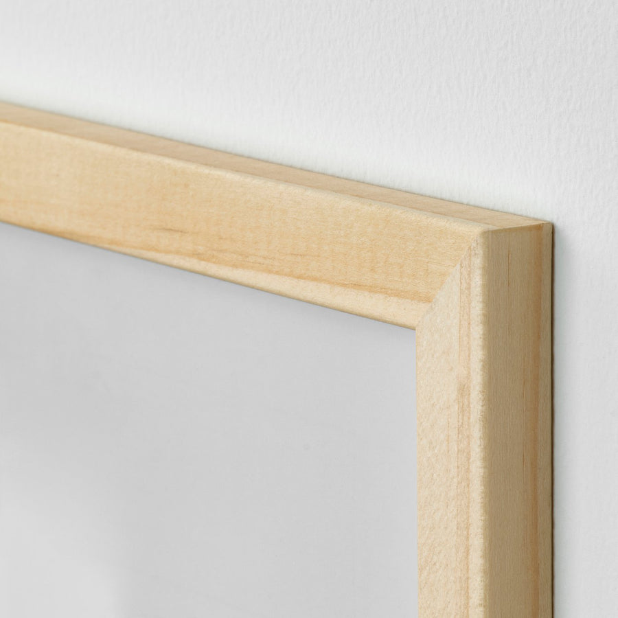 HÄCKHAGTORN frame, pine, 13x18 cm