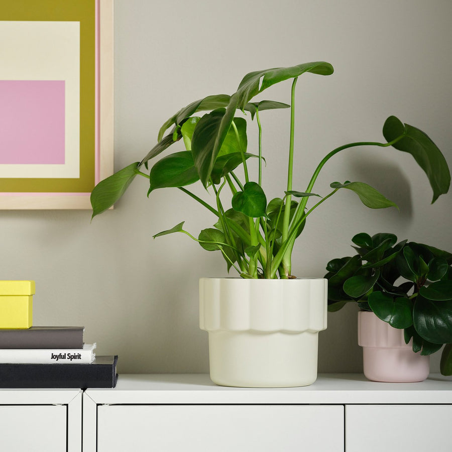 HÄNGSÄLG plant pot, off-white, 18 cm