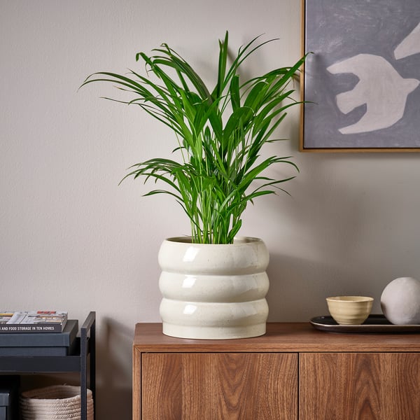 HASSELBUKETT plant pot, in/outdoor/beige, 19 cm