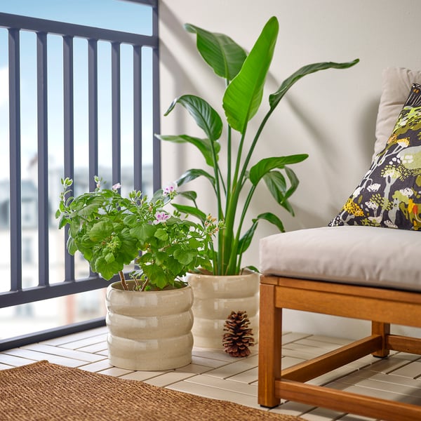 HASSELBUKETT plant pot, in/outdoor/beige, 19 cm