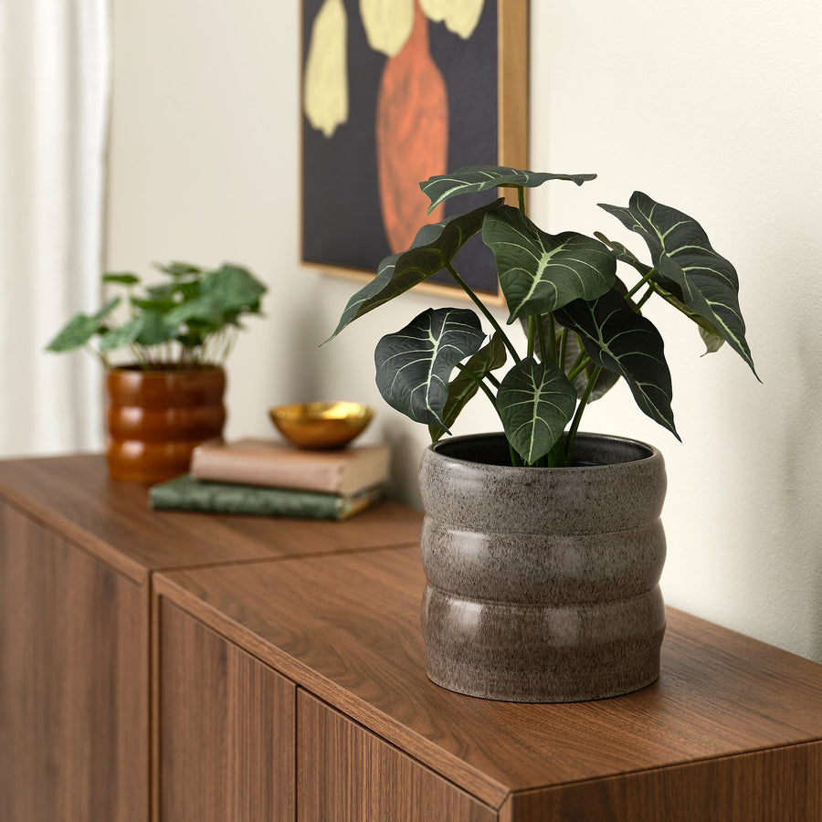 HASSELBUKETT plant pot, in/outdoor/grey, 15 cm