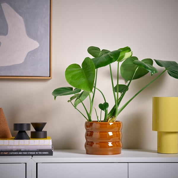 HASSELBUKETT plant pot, in/outdoor/brown-yellow, 12 cm