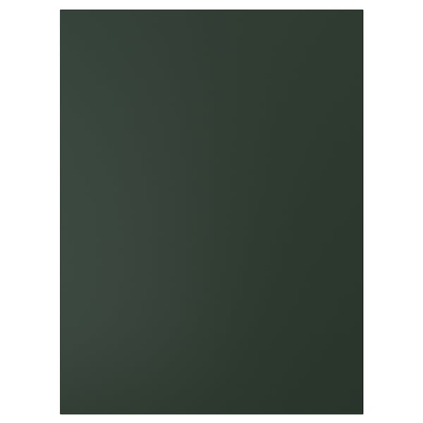 HAVSTORP door, deep green, 60x80 cm