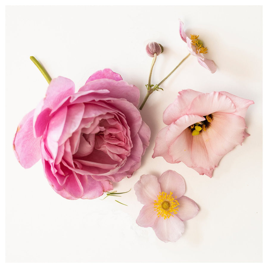 HÖKGÖK scented candle in glass, Pink flowers pale pink, 5 cm