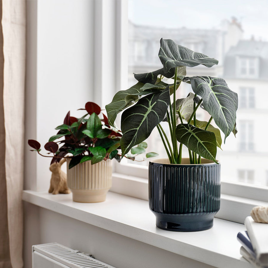 HONUNGSPALM plant pot, in/outdoor/blue, 12 cm