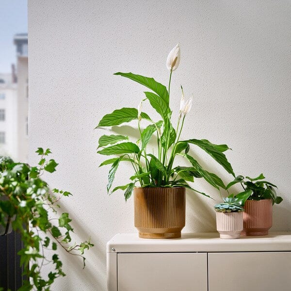 Ikea HONUNGSPALM - Plant pot, in/outdoor/green, 19 cm