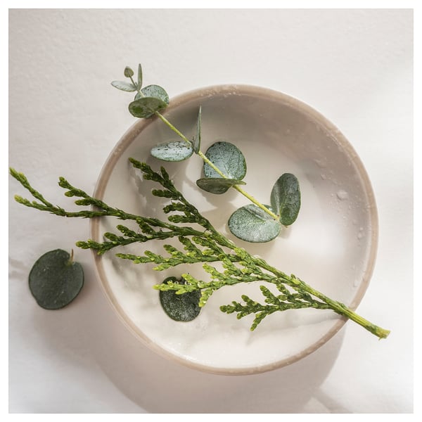 JÄMTSKOGEN scented candle/glass w lid/2 wicks, cypress & eucalyptus/dark green, 70 hr