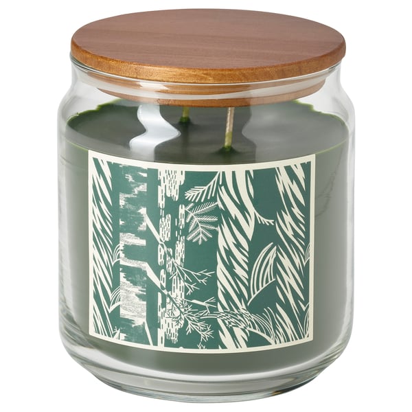 JÄMTSKOGEN scented candle/glass w lid/2 wicks, cypress & eucalyptus/dark green, 70 hr