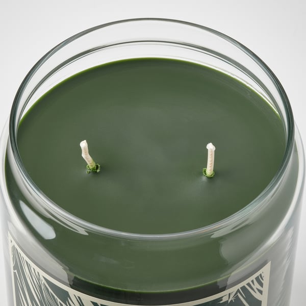 JÄMTSKOGEN scented candle/glass w lid/2 wicks, cypress & eucalyptus/dark green, 10.5 cm