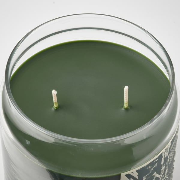 JÄMTSKOGEN scented candle/glass w lid/2 wicks, cypress & eucalyptus/dark green, 70 hr