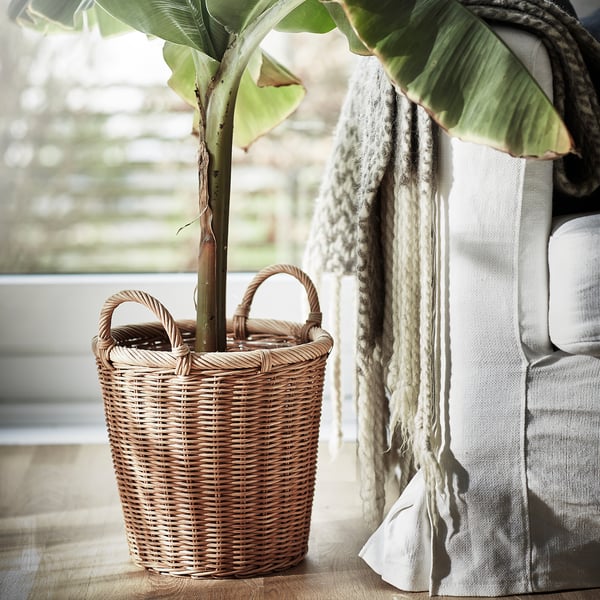 KAKTUSFIKON plant pot, rattan, 24 cm