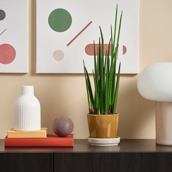 KLOTLÖNN plant pot with saucer, in/outdoor/dark yellow light beige, 9 cm