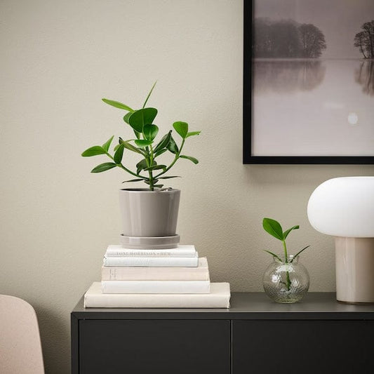Ikea KLOTLÖNN - Plant pot with saucer, in/outdoor/grey/beige, 12 cm