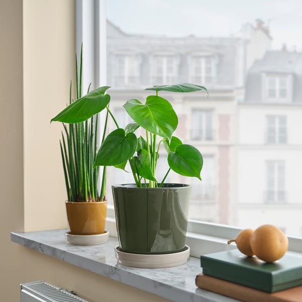 KLOTLÖNN plant pot with saucer, in/outdoor/dark grey-green light beige, 15 cm