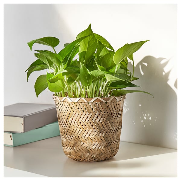 KLYNNON plant pot, handmade bamboo, 15 cm