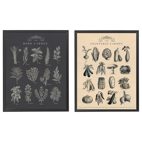 KNOPPÄNG frame with poster, garden, 40x50 cm, 2 pack