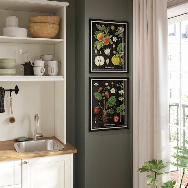 Ikea KNOPPÄNG - Frame with poster, vintage botanical fruit charts, 40x50 cm