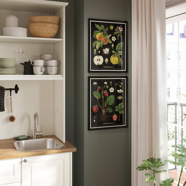 KNOPPÄNG frame with poster, vintage botanical fruit charts, 40x50 cm, 2 pack