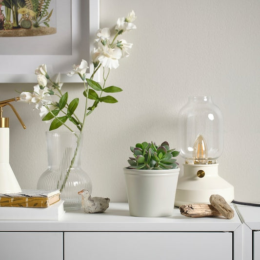 KÖRSBÄRSBJÖRK plant pot, light grey-beige, 9 cm