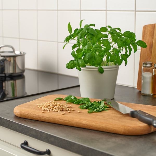 KÖRSBÄRSBJÖRK plant pot, light grey-beige, 12 cm