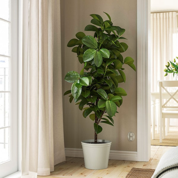 KÖRSBÄRSBJÖRK plant pot, light grey-beige, 24 cm