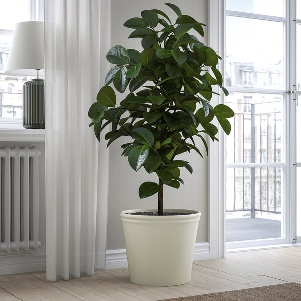 KÖRSBÄRSBJÖRK plant pot, light grey-beige, 32 cm