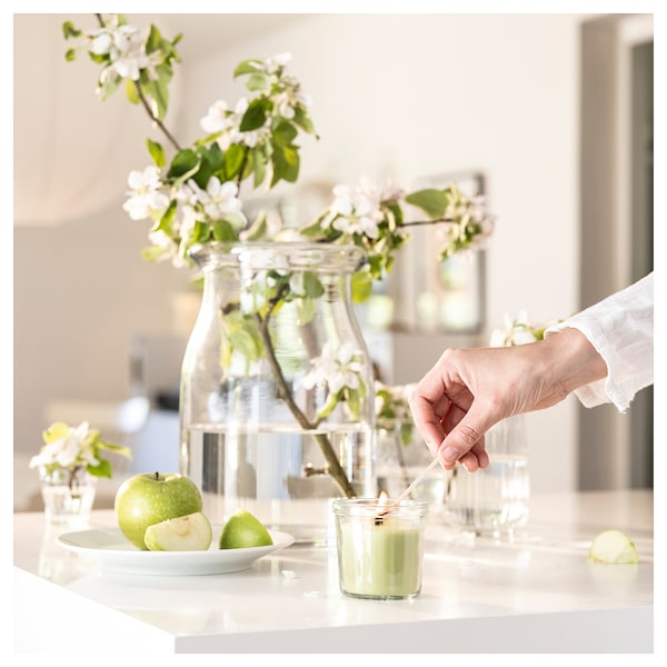 LÖVSKOGSLUND scented candle in glass, Apple/light green, 20 h