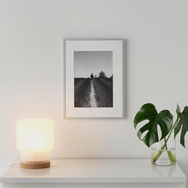 LOMVIKEN frame, aluminium, 30x40 cm