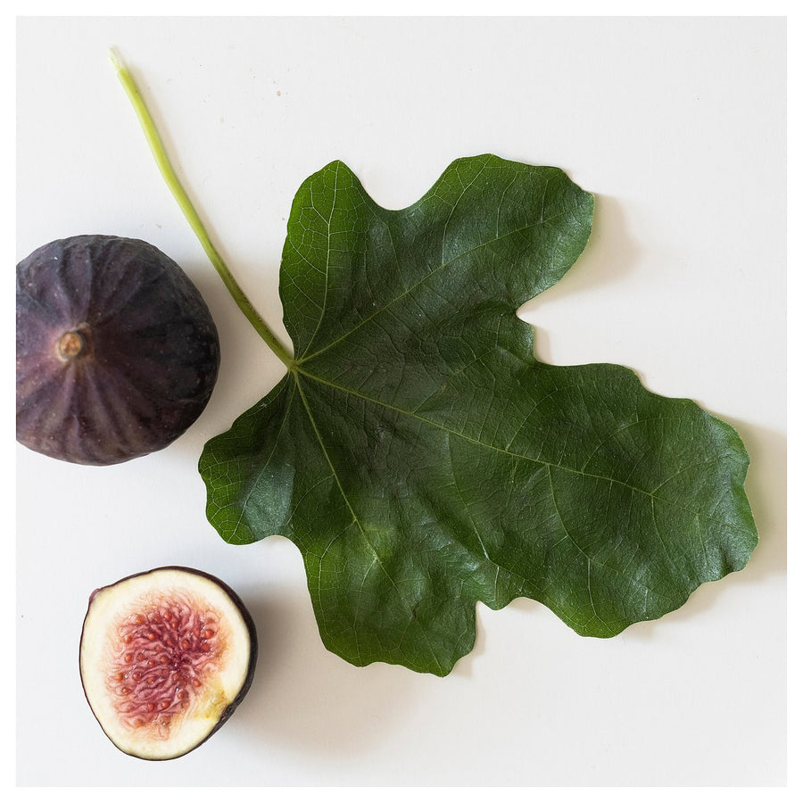 LOTSFÅGEL scented candle in glass, Fig leaf green, 8 cm